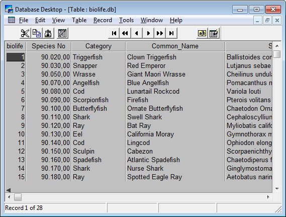 borland database engine not installed