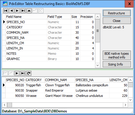 RenameResizeFieldsDb5